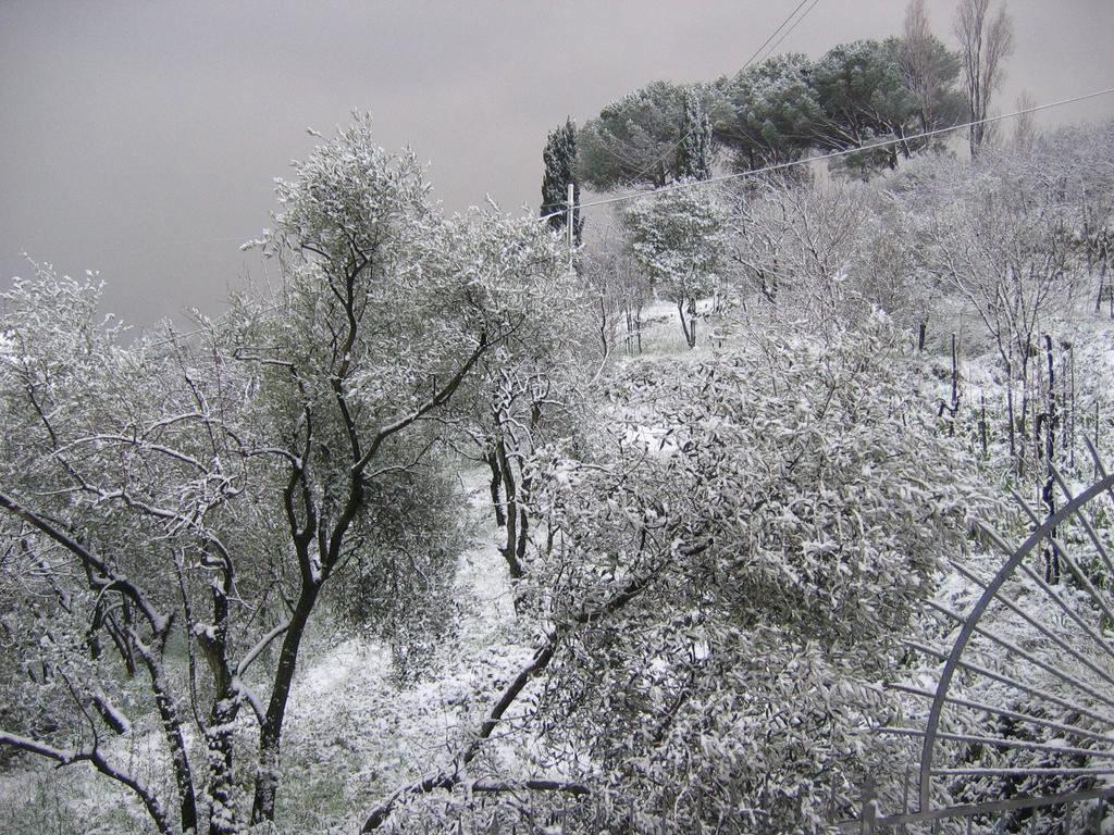 B&B Mare E Monti La Spezia Phòng bức ảnh